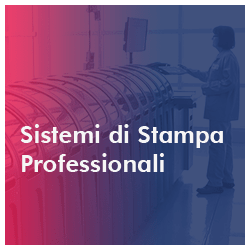 Sistemi di Stampa Professionali